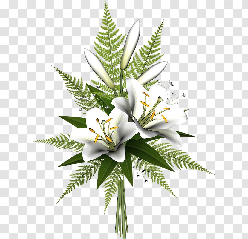 Lilium Blog Flower Clip Art - Flowering Plant Transparent PNG
