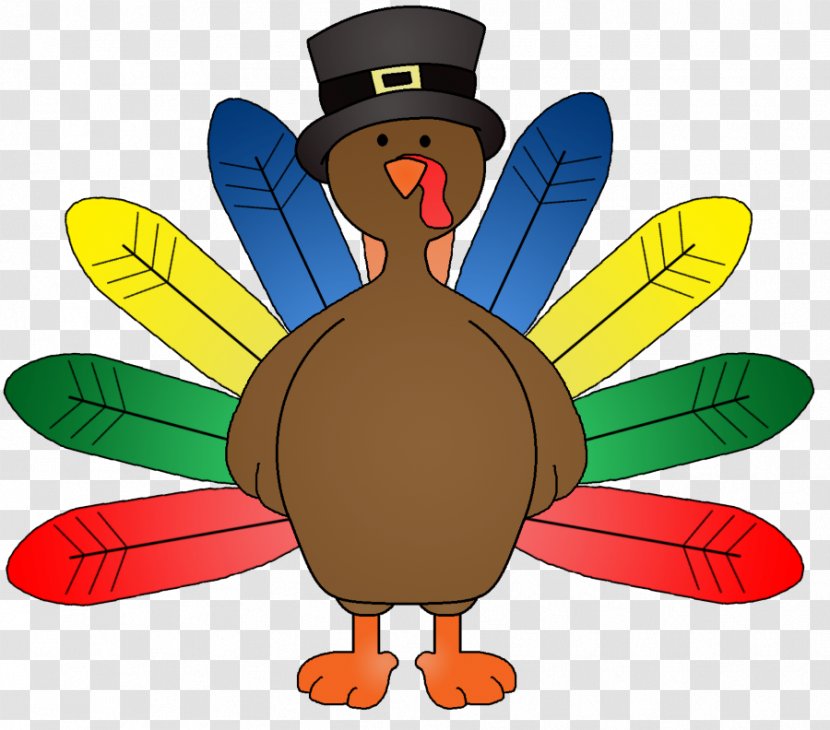 Clip Art Turkey Meat Feather Domesticated Image - Wing - Kindergarten Thanksgiving Luncheon Transparent PNG