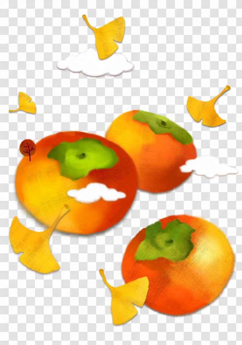 Japanese Persimmon Cartoon Illustration - Vegetable - Autumn Elements Transparent PNG