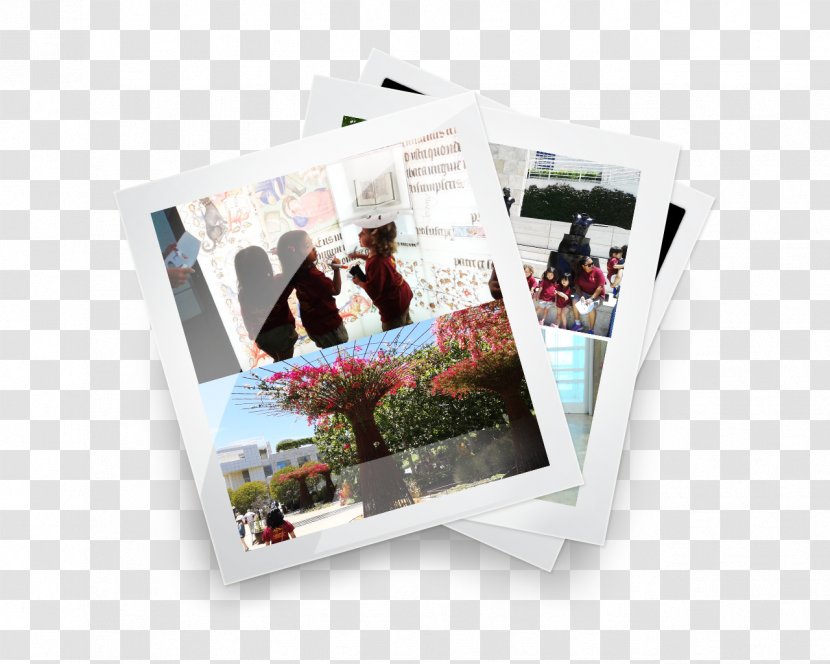 Photographic Paper Plastic Photography - Summer Activities Transparent PNG