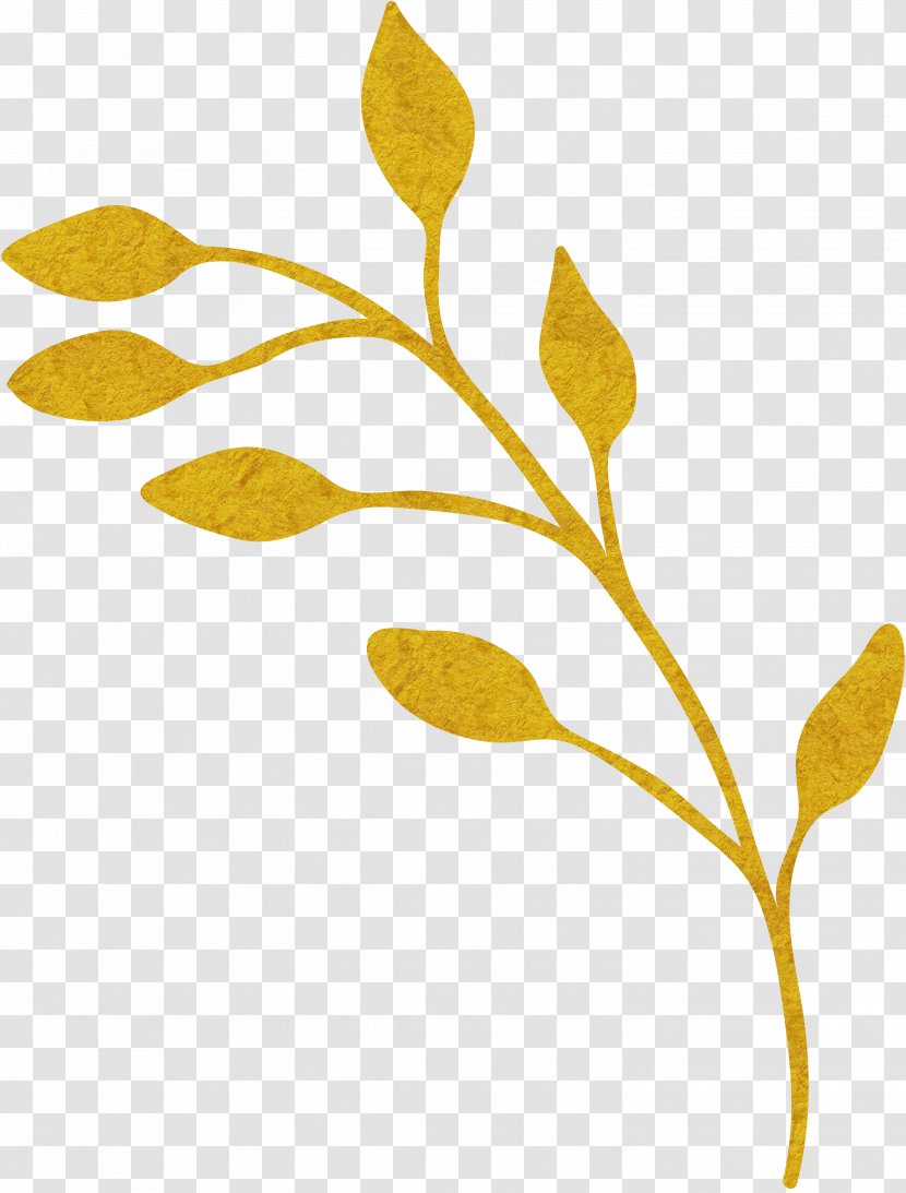 Plant Gold Yellow Euclidean Vector - Golden Plants Transparent PNG