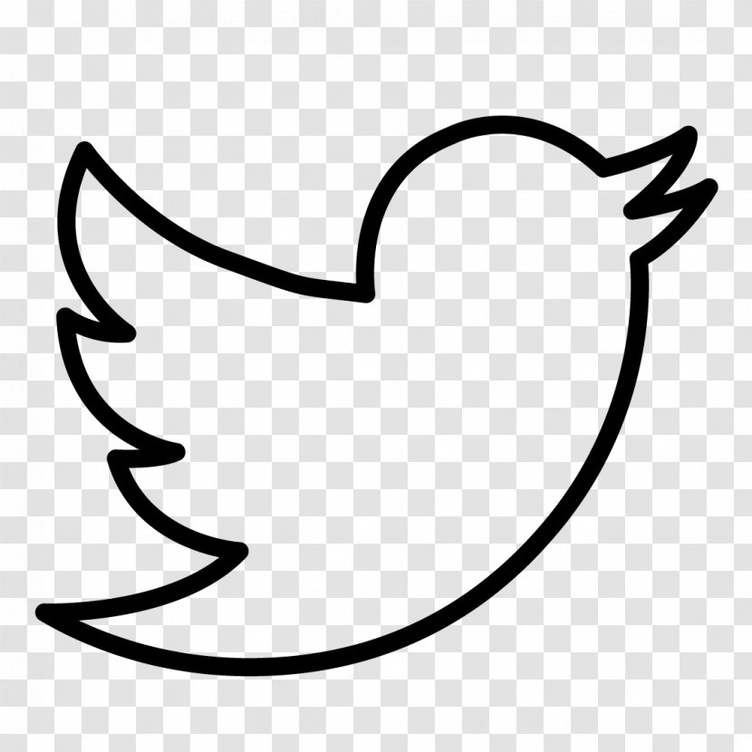 Logo Bird - Cartoon - Twitter Transparent PNG