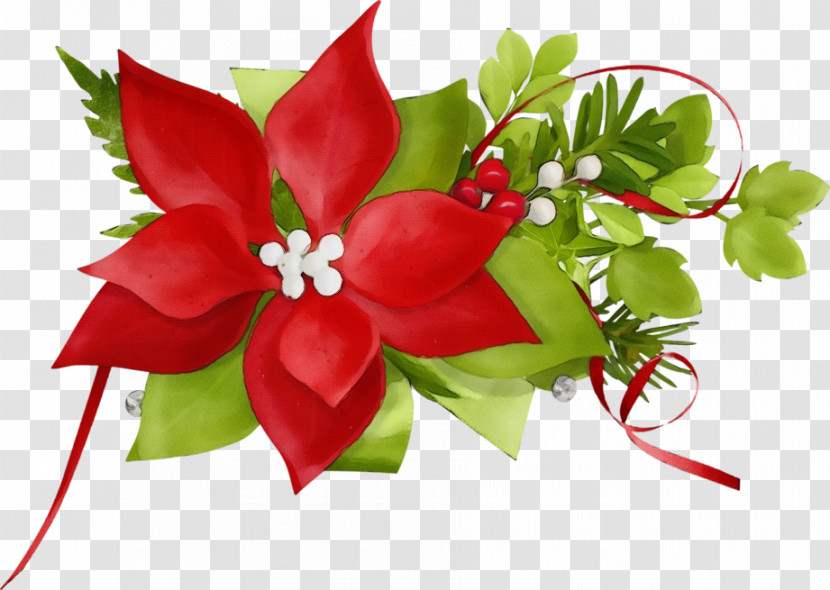 Floral Design Transparent PNG