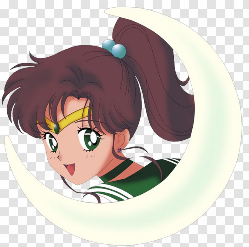Sailor Jupiter Moon Chibiusa Artemis Luna - Flower Transparent PNG
