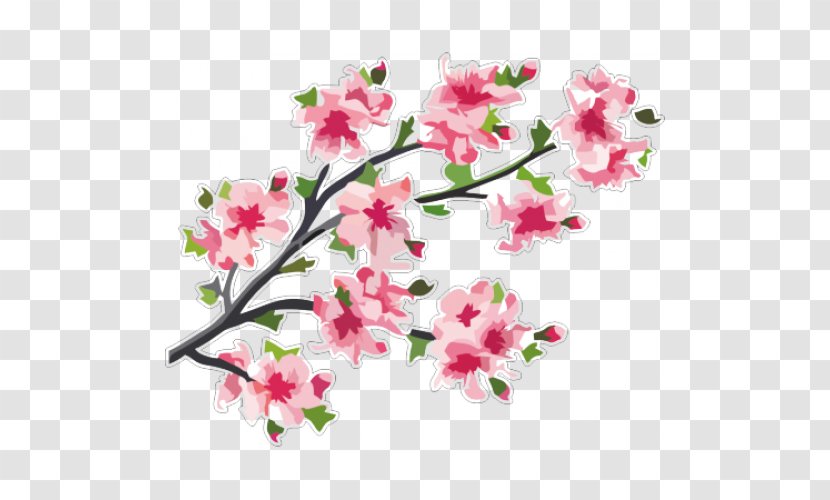 Cherry Blossom Branch Tree - Cut Flowers Transparent PNG