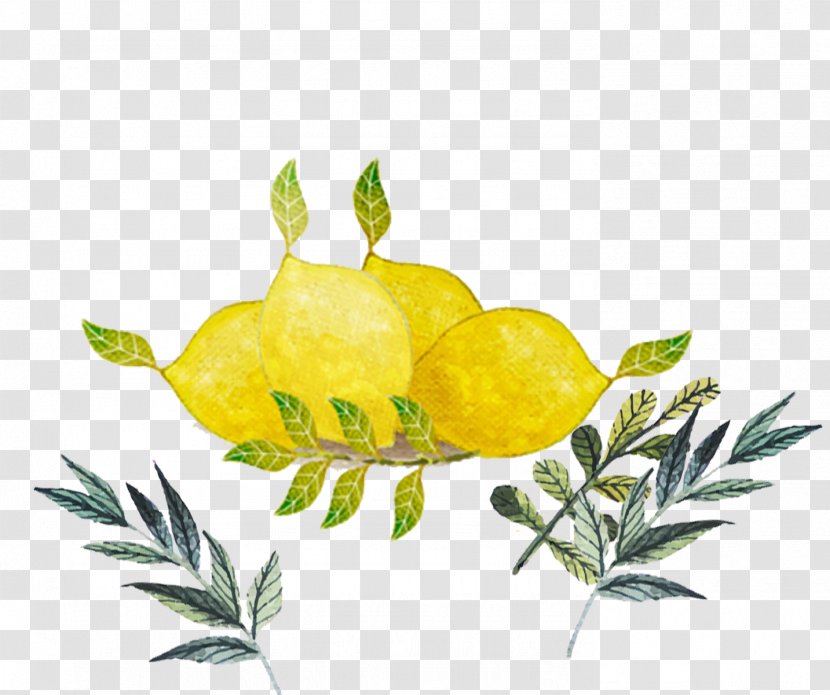 Lemon Casa Vacanze Vecchia Girgenti House Apartment - Floral Design - Yellow Leaves Cartoon Transparent PNG