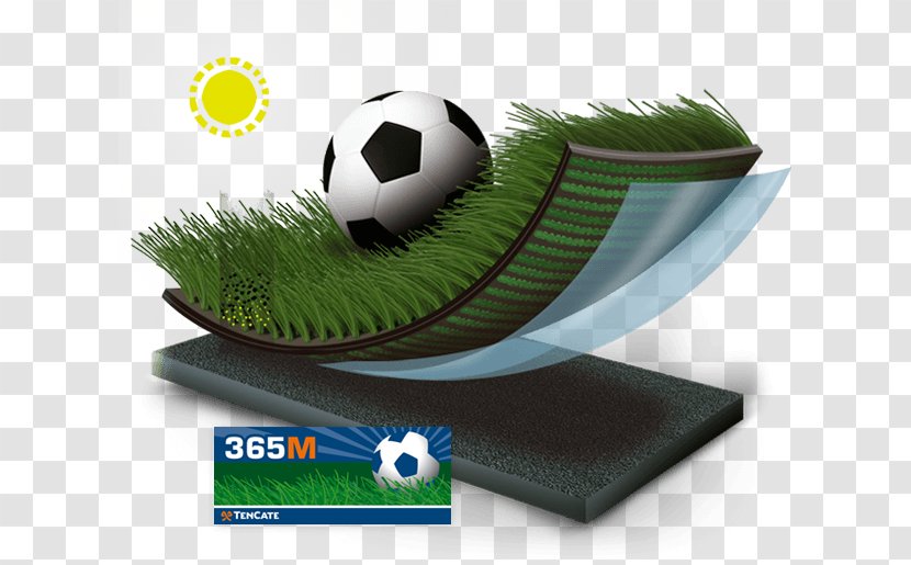 Lawn Artificial Turf Koninklijke Ten Cate Nv Product Rugby - Grass Transparent PNG