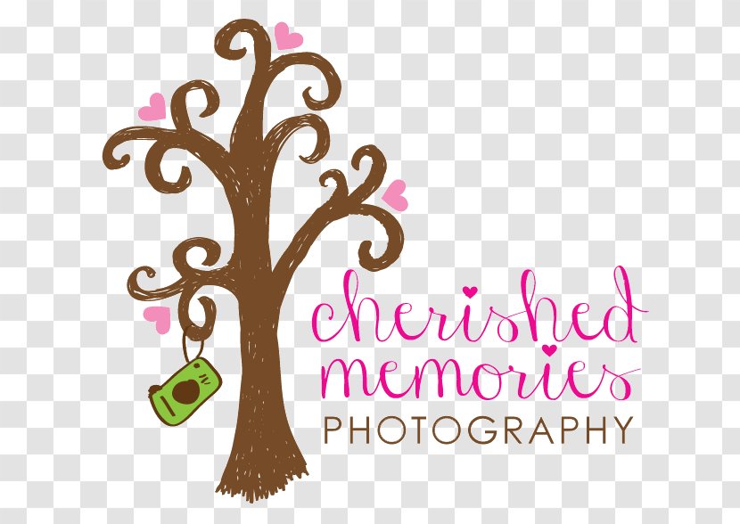 Photographer Cherished Memories Photography Child Infant - Birth - Session Transparent PNG