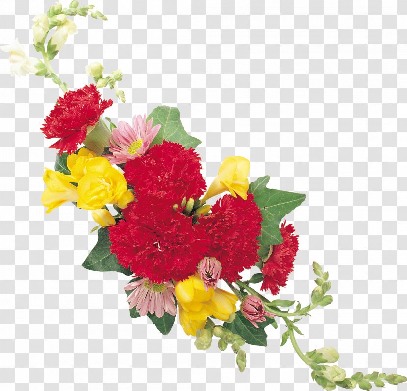 Cut Flowers Dianthus Chinensis Carnation Clip Art - Yellow - CARNATION Transparent PNG
