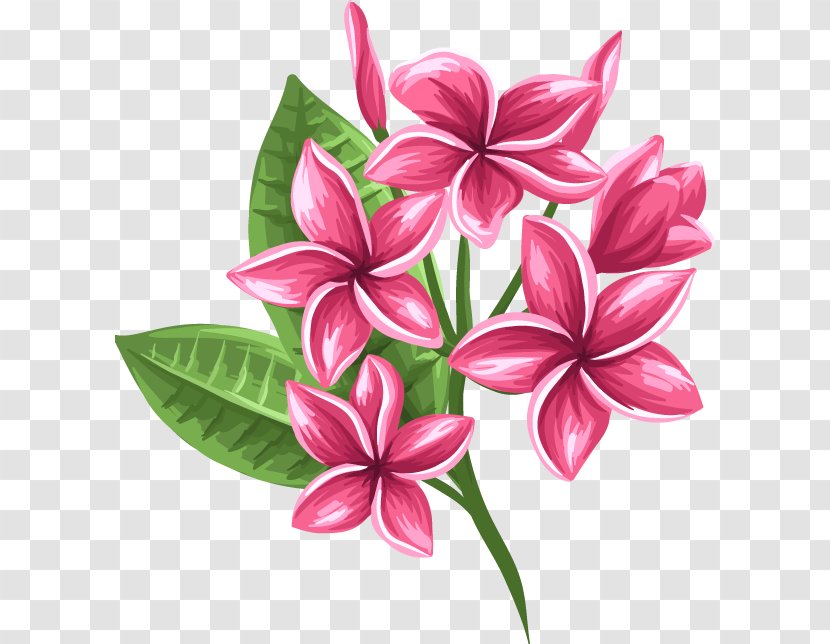 Floral Design Cut Flowers Petal - Flower Transparent PNG