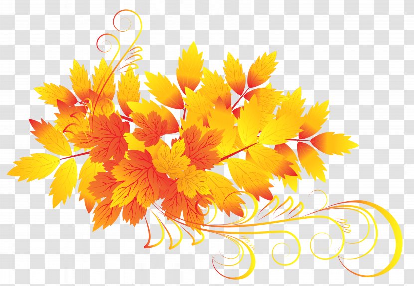 Autumn Leaf Color Clip Art - Cut Flowers - Leaves Clipart Transparent PNG