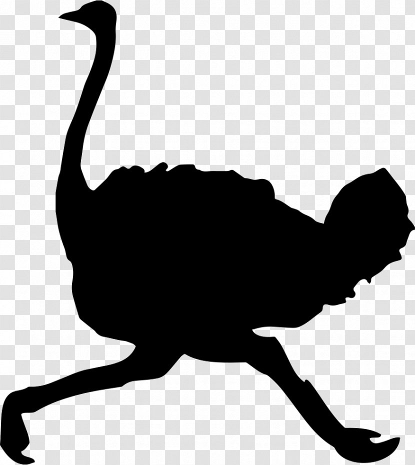 Common Ostrich Bird Silhouette Clip Art Transparent PNG