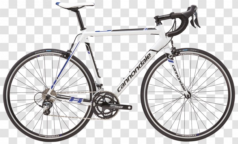 Giant Bicycles Racing Bicycle Cycling Groupset - Spoke Transparent PNG