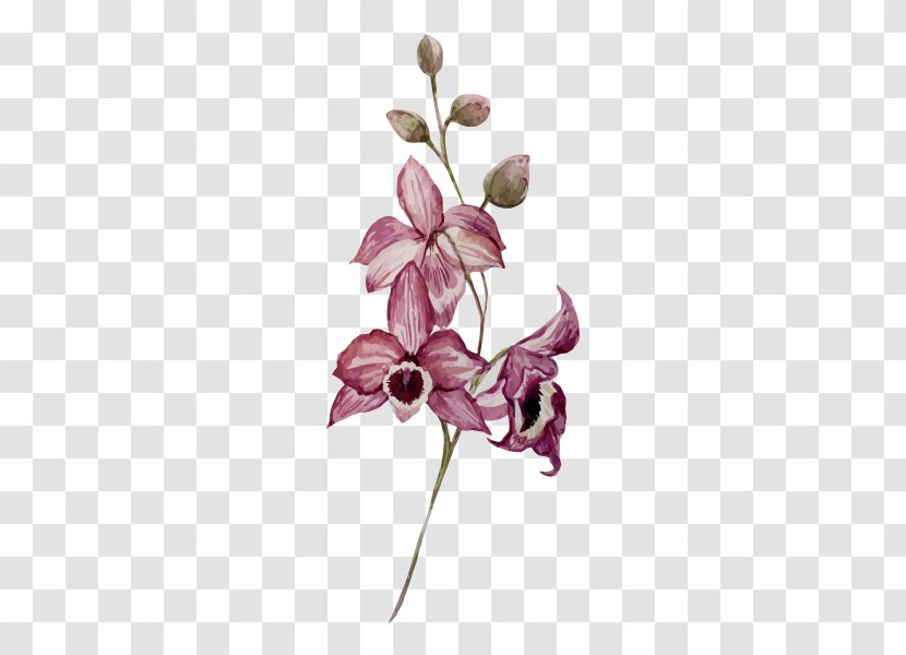 Watercolor Painting Drawing Flower Orchids - Sea Buckthorn Transparent PNG