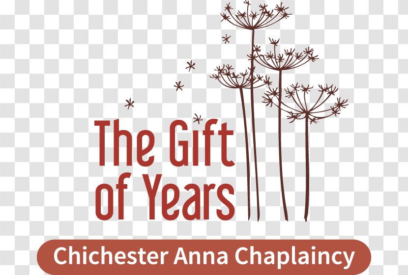 Diocese Of Chichester The Gift Years Roman Catholic Rochester Chaplain Church - Flowering Plant Transparent PNG