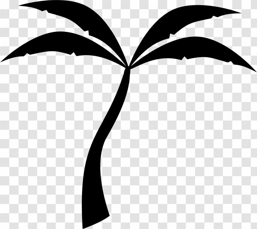 Arecaceae Silhouette Clip Art - Flowering Plant - Date Palm Transparent PNG