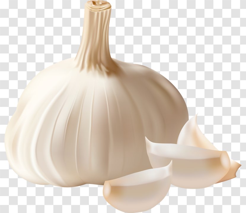 Garlic Bread Clove Clip Art - Food - Nice Onion Transparent PNG