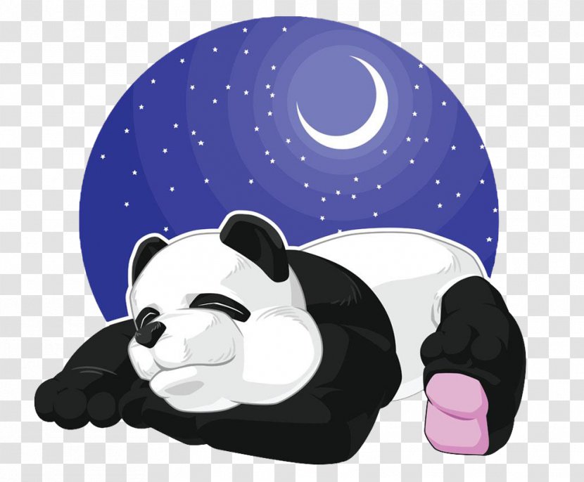 Giant Panda Royalty-free Vector Graphics Illustration Image - Bear - Asleep Design Element Transparent PNG
