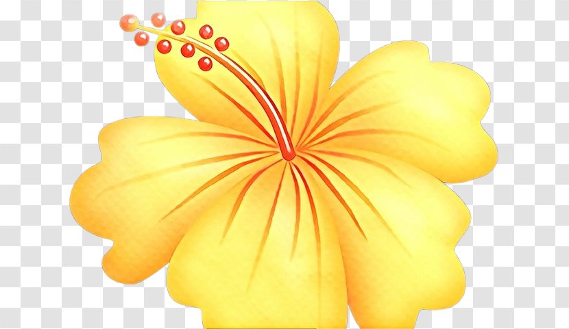 Petal Yellow Flower Hibiscus Plant - Herbaceous Flowering Transparent PNG