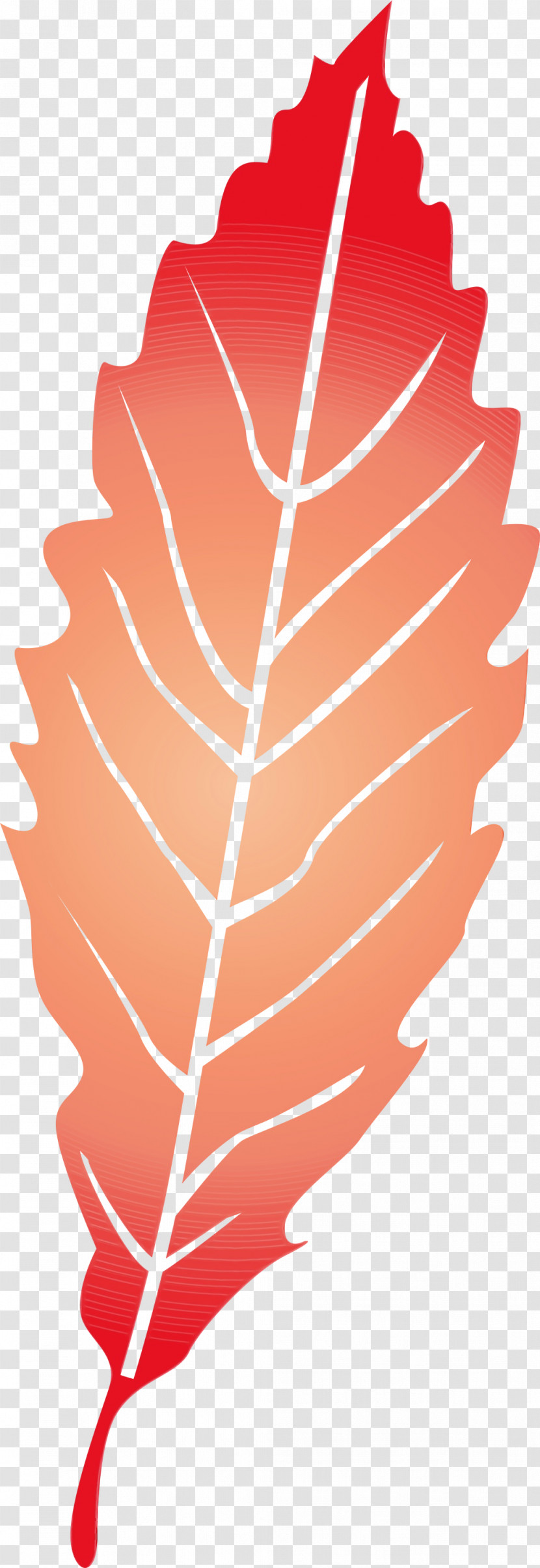 Leaf Petal Meter Line Tree Transparent PNG