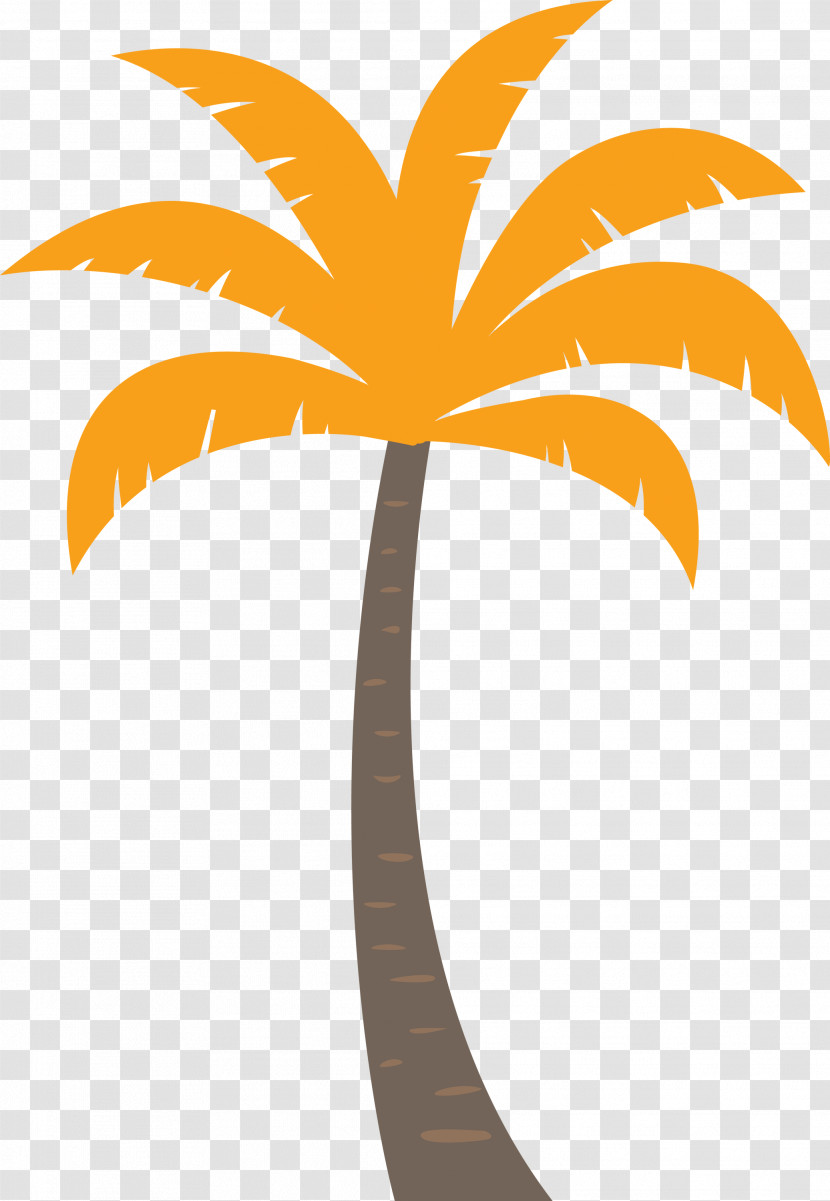 Palm Trees Transparent PNG