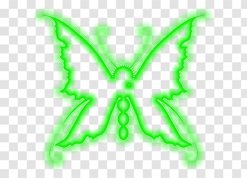 Butterfly Insect Pollinator Animal Invertebrate - Symmetry - Frame Transparent PNG