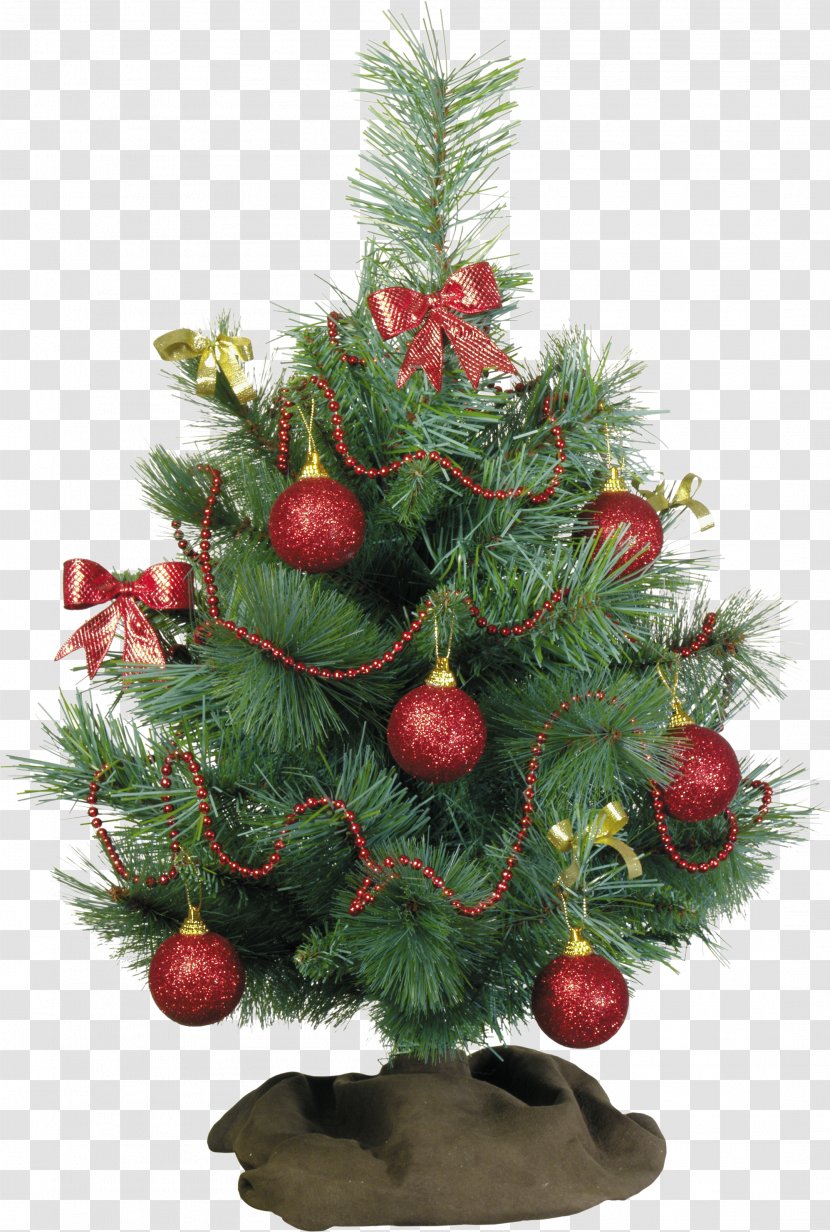 YouTube Actor Photography Christmas Art - Tree Transparent PNG