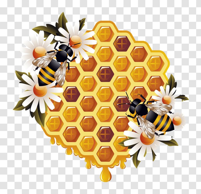Western Honey Bee Vector Graphics Beehive Worker Beekeeping - Pollinator - Border Transparent PNG