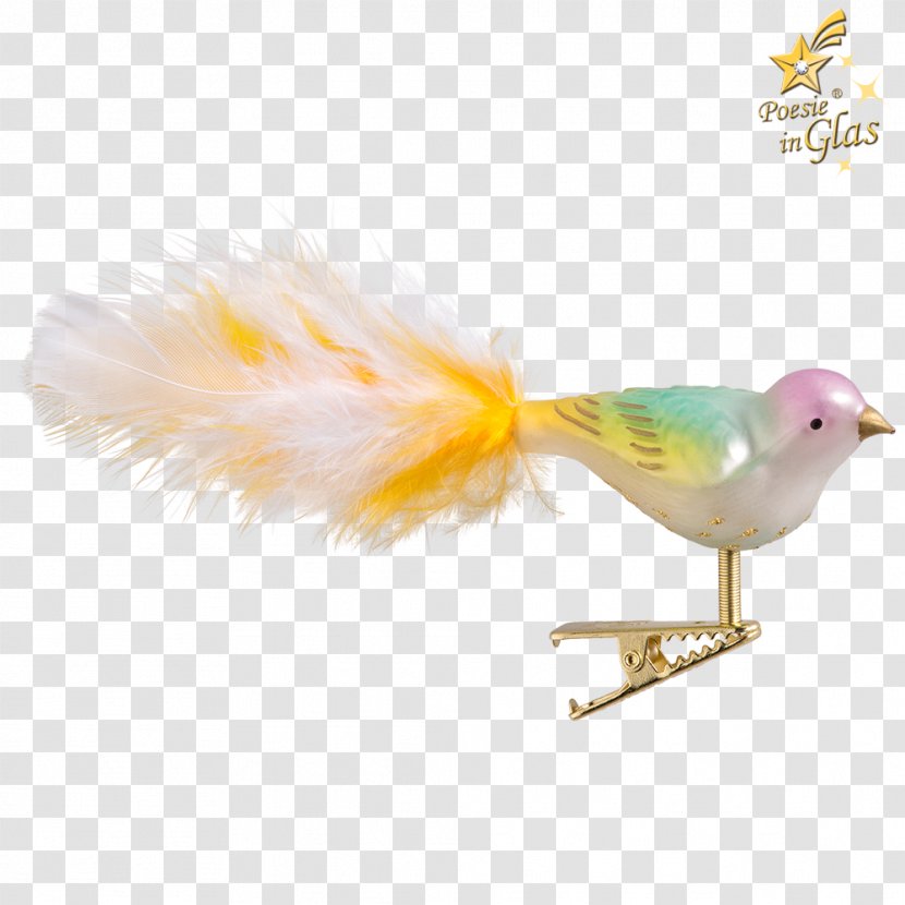 Feather Beak - Wing Transparent PNG