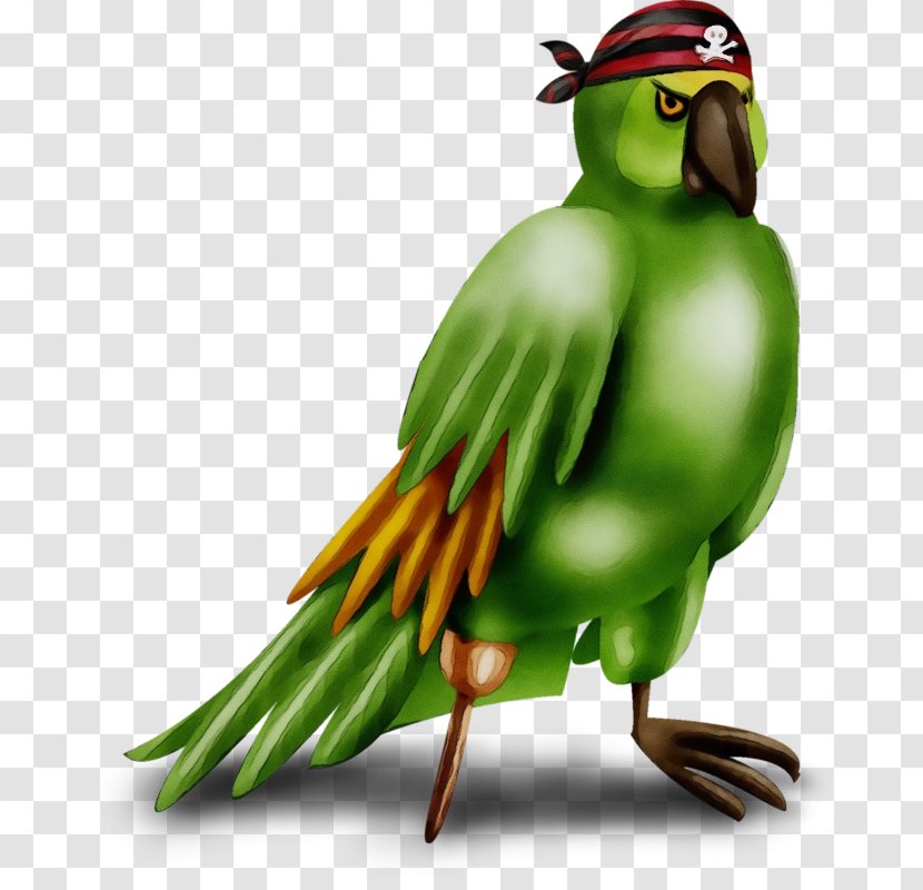 Bird Beak Parrot Parakeet Budgie - Plant Transparent PNG