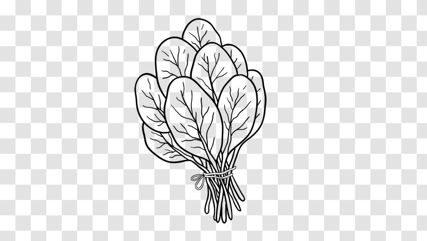 Spinach Salad Coloring Book Drawing Soup - Flower Transparent PNG