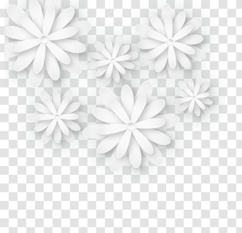 Black And White Petal Common Daisy - Three-dimensional Flowers Transparent PNG