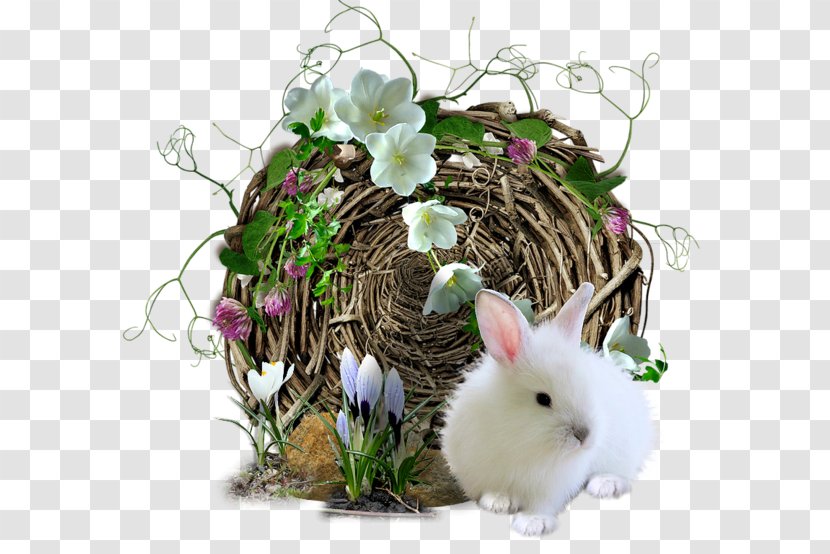 Easter Bunny Domestic Rabbit - Cute Transparent PNG