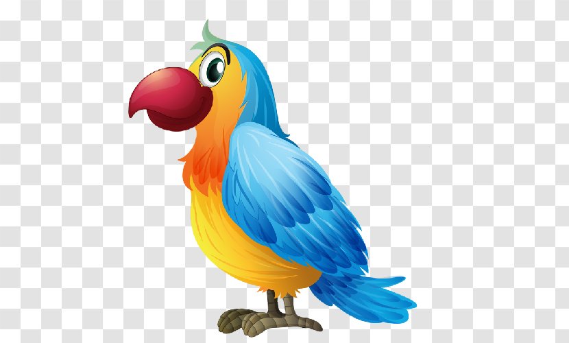 Bird Parrot Clip Art - Lovebird Transparent PNG