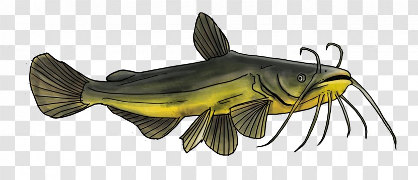 Goldfish Catfish Fishing Freshwater Fish - Cod - Black Spots Transparent PNG
