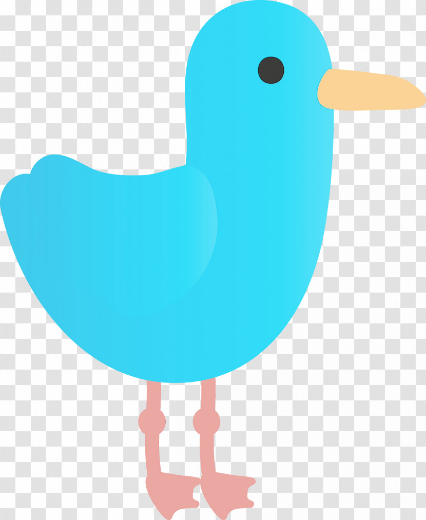 Bird Turquoise Beak Water Bird Duck Transparent PNG