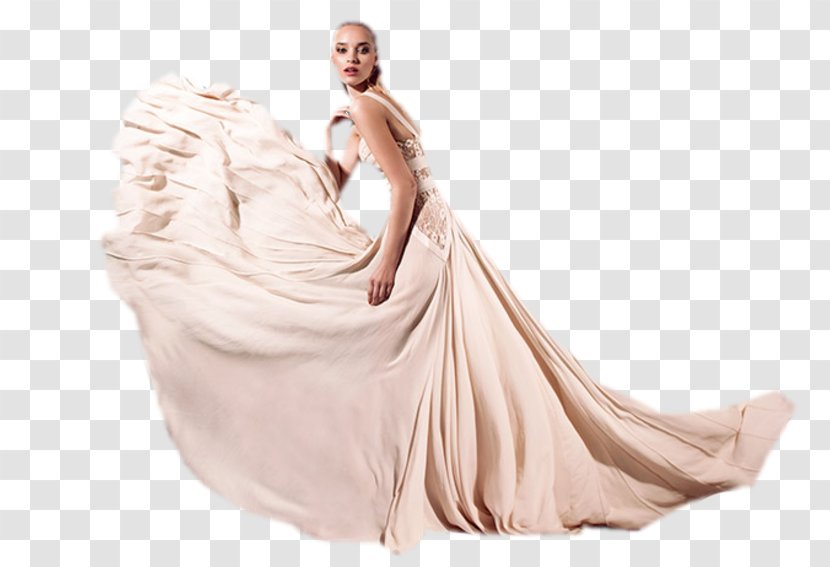 Gown Shoulder Silk Photo Shoot Photography - Cartoon - Female Photographer Transparent PNG