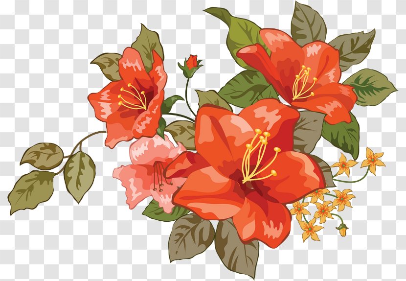 Vector Graphics Clip Art Image - Shrub - Illustrator Transparent PNG