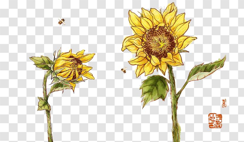 Ink Wash Painting Sunflowers Common Sunflower Chinese - Daisy Family - Yellow Picture Transparent PNG
