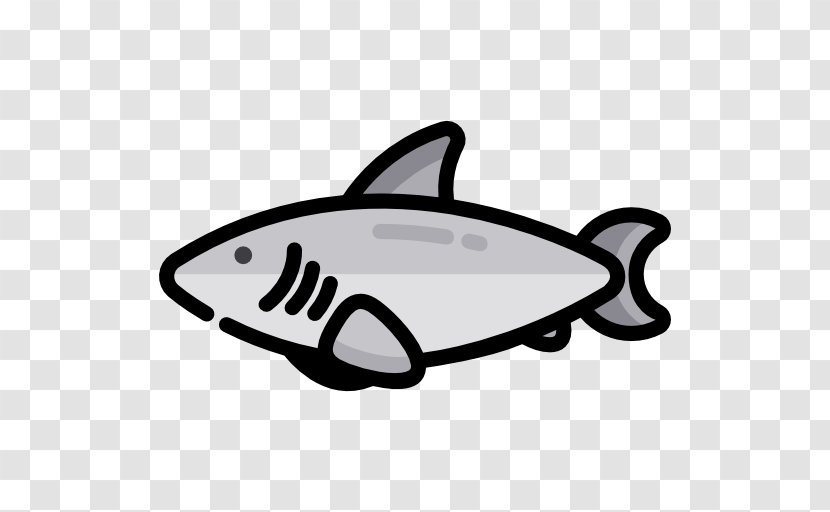 Tiburon - Marine Mammal - Fish Transparent PNG