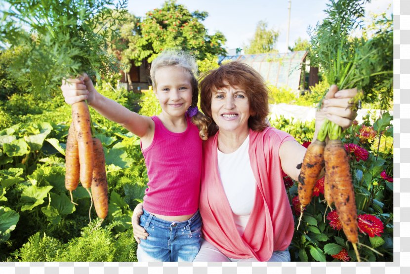 Stock Photography Farm Agriculture Royalty-free Garden - Cartoon - Grandchild Transparent PNG