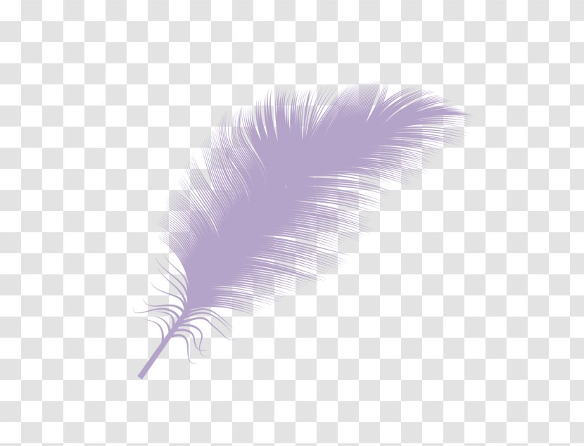 Down Feather Goose Clip Art - Wing Transparent PNG