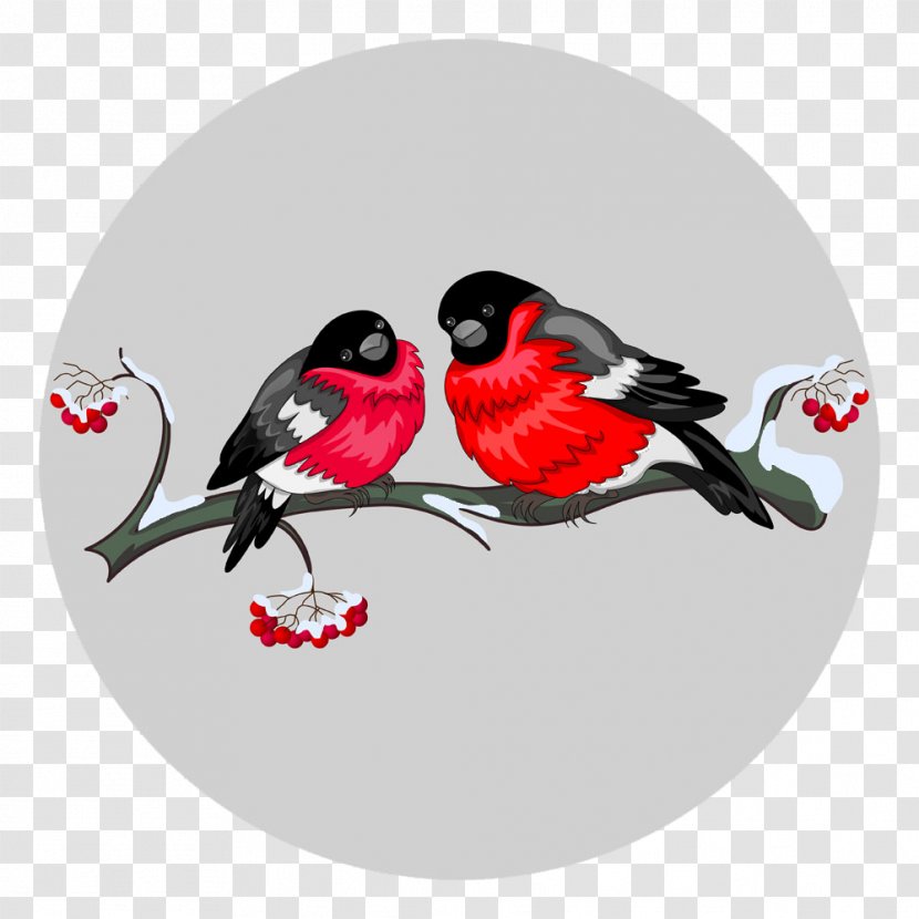 Clip Art - Beak - Cartoon Birds Vector Transparent PNG