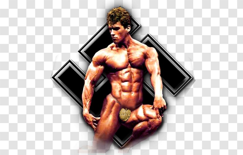 Beyond Built Bodybuilding 1988 Mr. Olympia Universe Championships Natural Fitness - Heart Transparent PNG