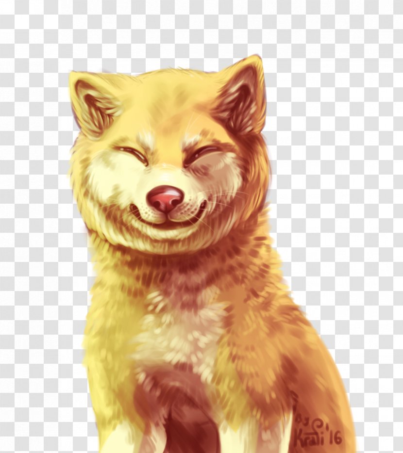 Whiskers Dog Red Fox Cat Snout - Like Mammal - Akita Inu Transparent PNG