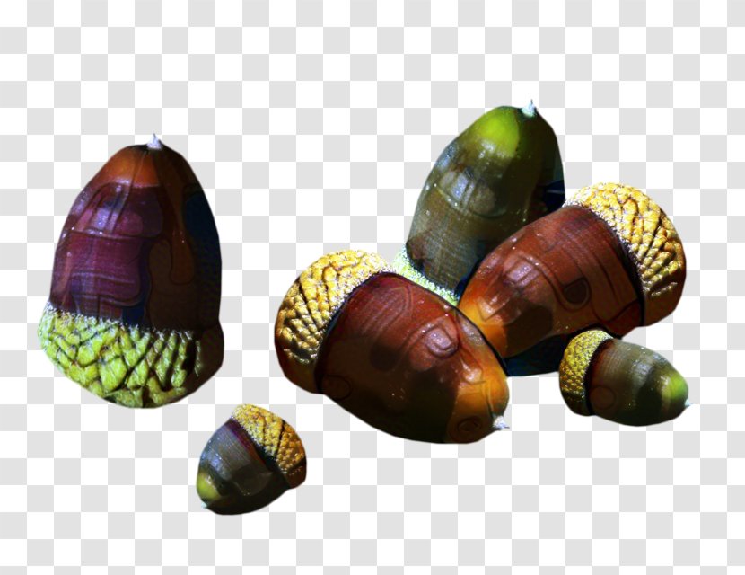Snail Cartoon - Personal Identification Number - Food Chestnut Transparent PNG