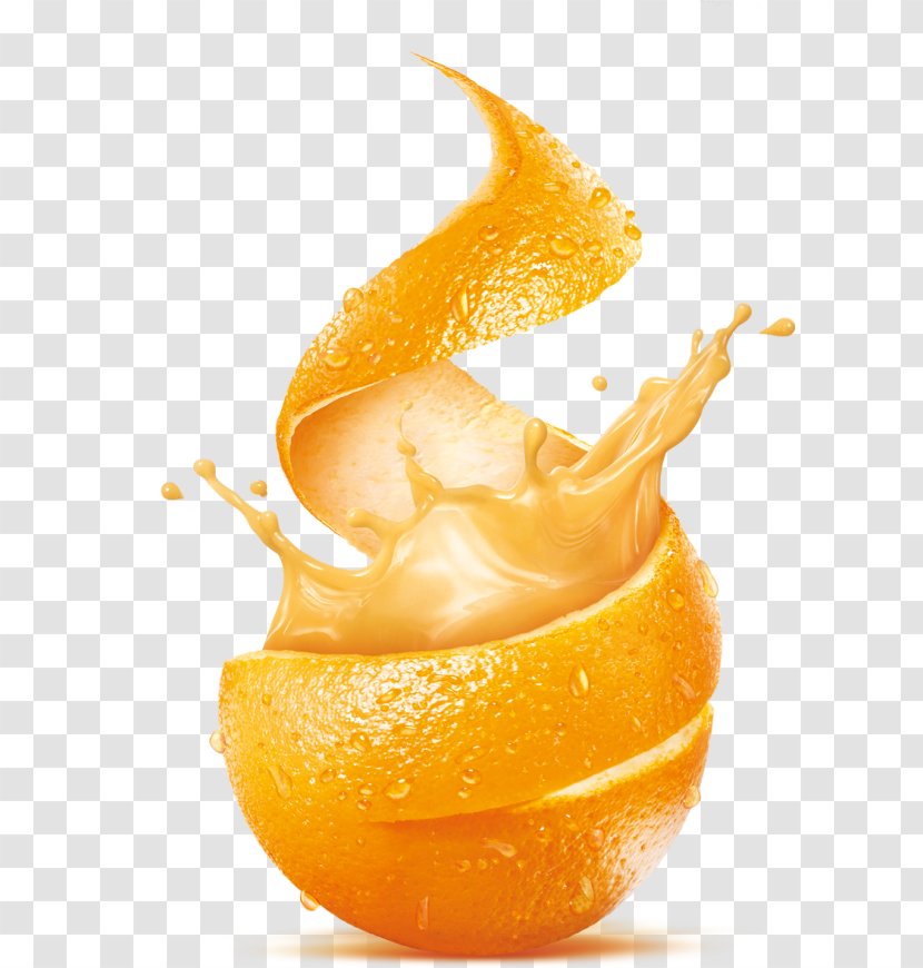 Orange Juice Lemon Drink - Juicer Transparent PNG