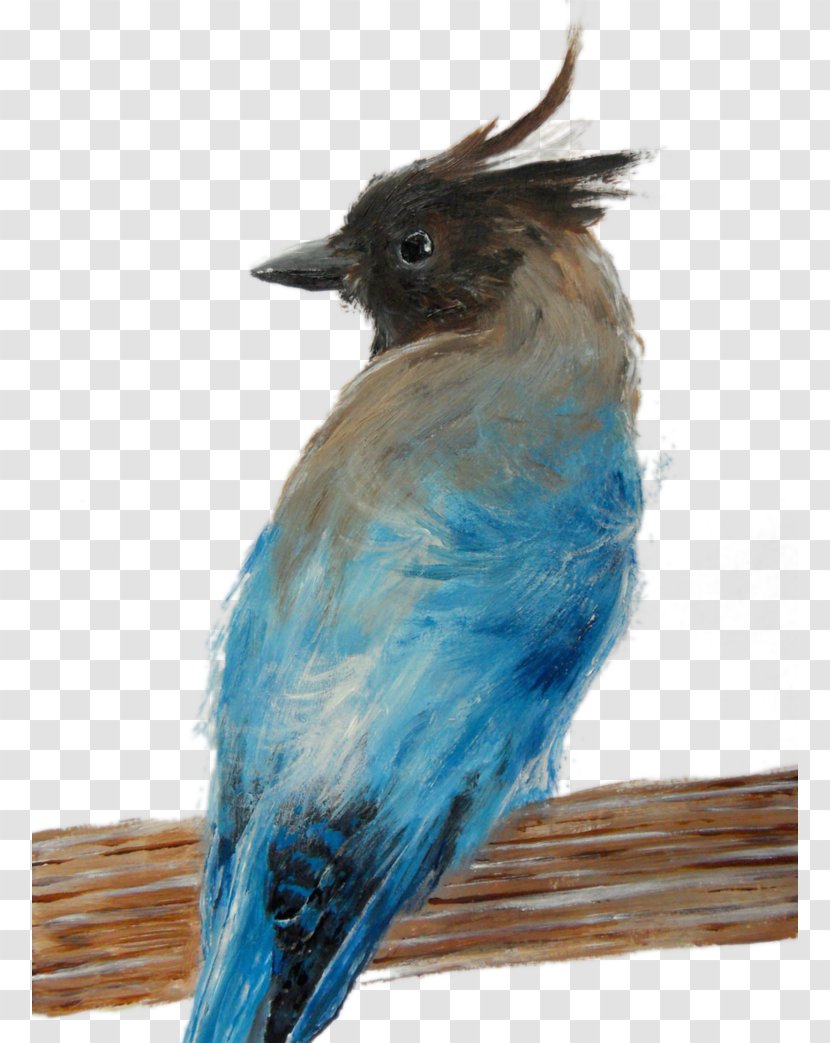 Blue Jay Cobalt Fauna Bluebirds - Beak - Feather Transparent PNG
