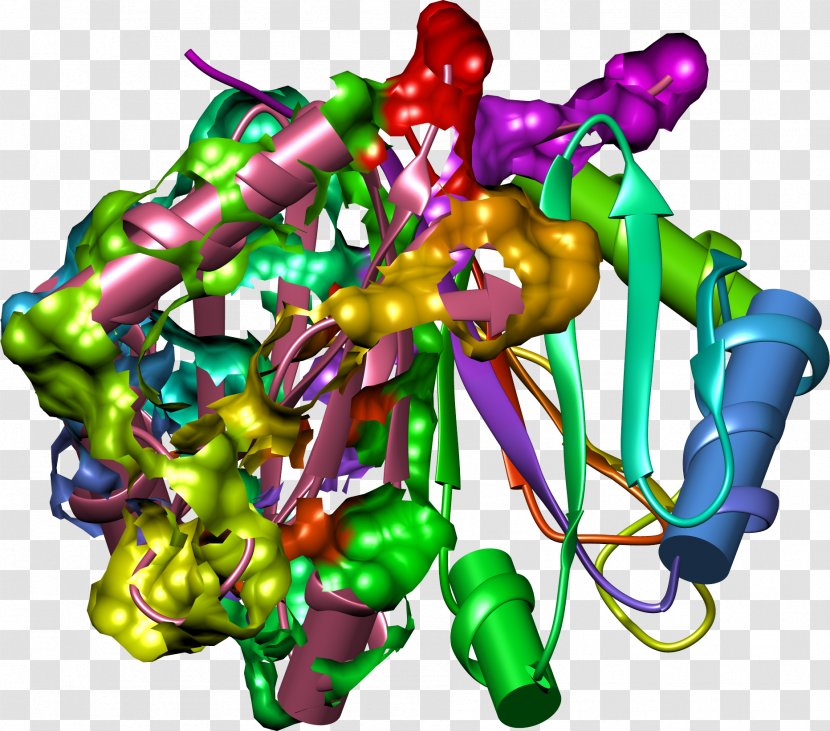 Art Character - Actinbinding Protein Transparent PNG