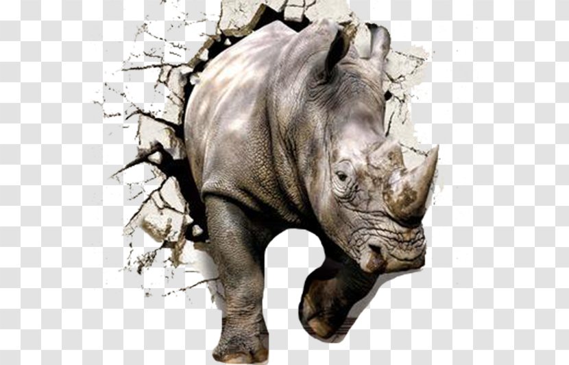 Wall Rhinoceros 3D The Gray Rhino: How To Recognize And Act On Obvious Dangers We Ignore Paper Wallpaper - Mural - Broken Stereoscopic Rhino Transparent PNG